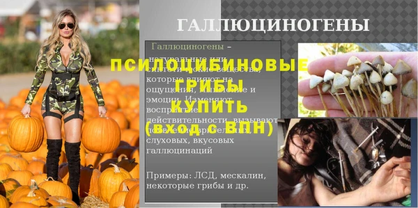 mix Заводоуковск